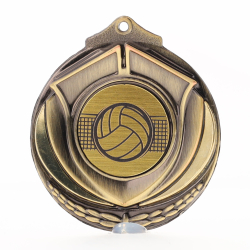 Two Tone Volleyball Medal 50mm Gold