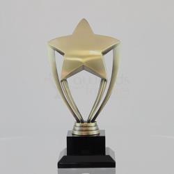Corporate Star Award 210mm