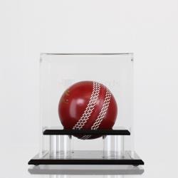 Cricket Ball Display Case