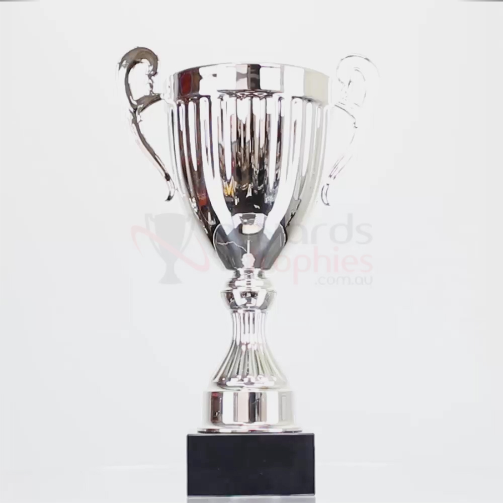 Endeavour Cup Silver 310mm