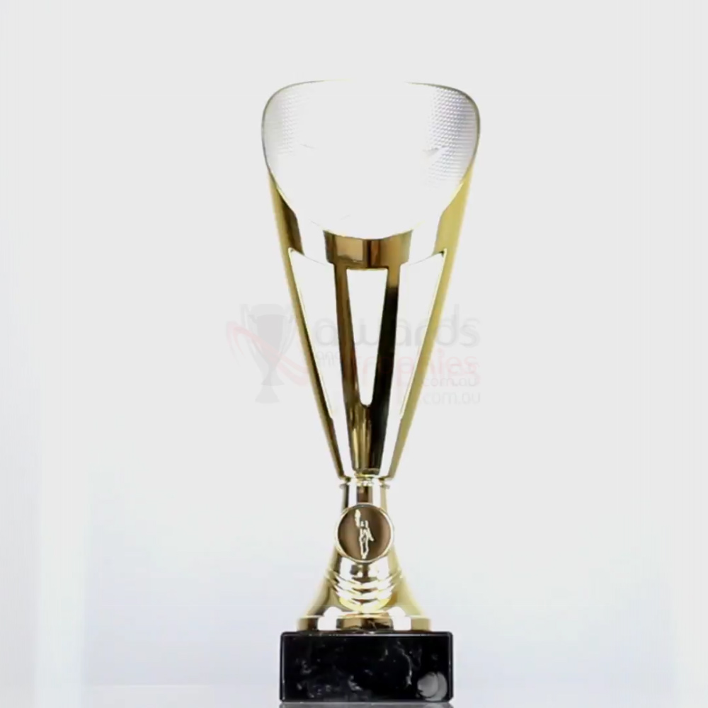 Dianna Cup Gold/Silver 290mm