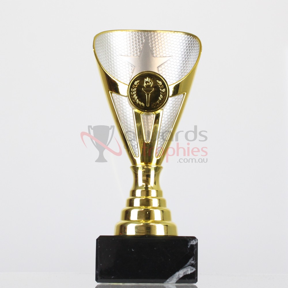 Arianna Cup Gold/Silver 170mm