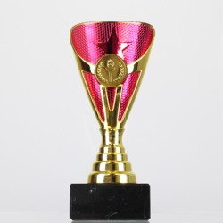 Arianna Cup Gold/Pink 170mm