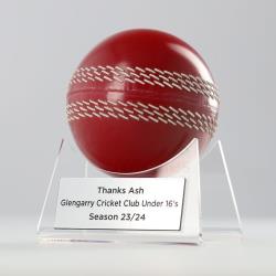 Cricket Ball Acrylic Stand
