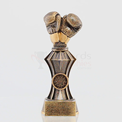 250mm TALL GOLD BOXING KICK BOXING TROPHY ACRYLIC *FREE ENGRAVING* FREE PP NEW 