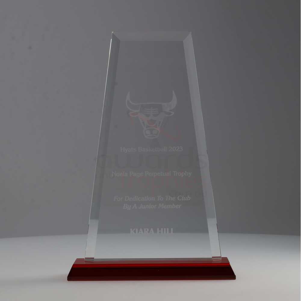 Glass Red Guardian Award 260mm