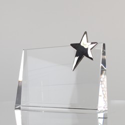 CIP Collection - Top Star Award Rectangle