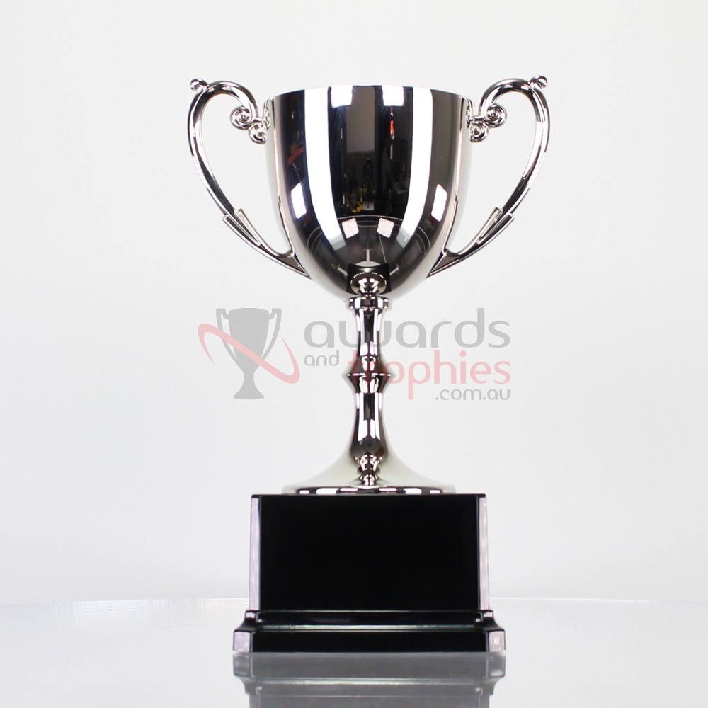 Recognition Nickel Plated Cup 360mm